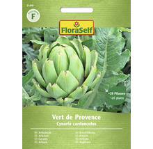 FloraSelf kronärtskocka Vert de Provence fröförpackning