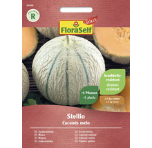 Fröförpackning sockermelon Stellio, sjukdomsresistent och för cirka fem plantor