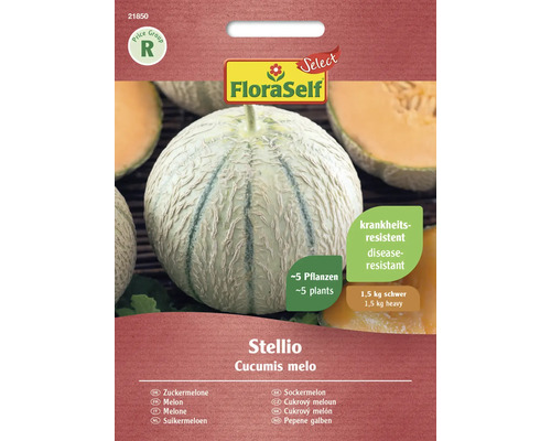 Melonfrön FLORASELF Select Stellio F1