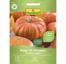 FloraSelf Rouge vif d''Etampes pumpafrön