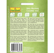 FloraSelf Logo. Fröpåse dekorationsmix pumpa.