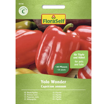 FloraSelf Paprikafrö Yolo Wonder, Capsicum annuum