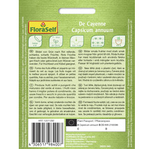 Cayennepeppar av arten Capsicum annuum bildar smala frukter med stark smak som mognar från grönt till rött.