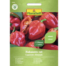 FloraSelf Habanero röd chili fröpaket för cirka sju plantor