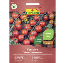FloraSelf Consuelo körsbärstomatfröpaket