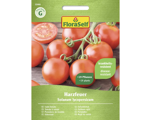 Tomatfröer FLORASELF salladstomat Harzfeuer F1