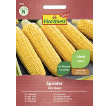 FloraSelf Sprinter Sockermajs fröpaket