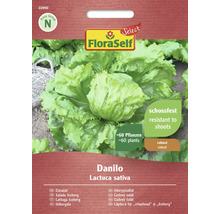 FloraSelf Danilo isbergssallad fröförpackning, tillräckligt för cirka 60 plantor