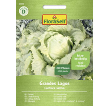 Isbergssalladsfrön av sorten Grandes Lagos från FloraSelf