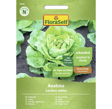 Analena huvudsalladsfrön från FloraSelf