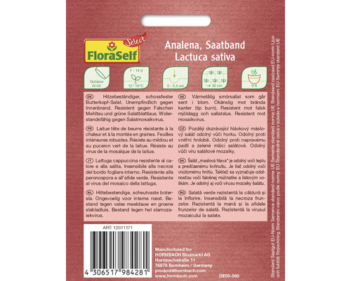 FloraSelf Analena fröband, smörsallad, värmetålig och resistent mot sjukdomar