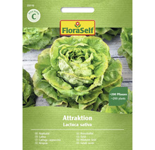 FloraSelf Huvudsallat Attraktion fröförpackning