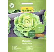 FloraSelf salladsfrön Dynamite för cirka 150 plantor