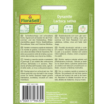 Dynamite mâches fröförpackning från FloraSelf