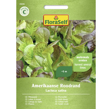 FloraSelf Plocksallad Amerikansk Roodrand fröpaket