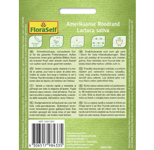 Fröförpackning Amerikansk Roodrand, Lactuca sativa, för utomhusodling
