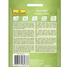 Salladsskål fröer av sorten Lactuca sativa