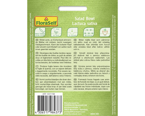 Salladsskål fröer av sorten Lactuca sativa