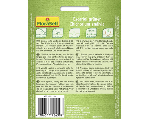 Escarole grön endivfröförpackning