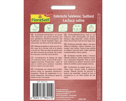 Italiensk salladsmix såband med radicchio, cikoria och strandkämpar