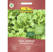 FloraSelf Favor fröband med vintersallat, resistent mot stockbildning