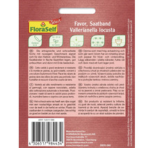Favor fröband för vintersallad, Vallerianella locusta