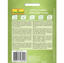 Verte de Cambrai fröer för vintersallad från FloraSelf