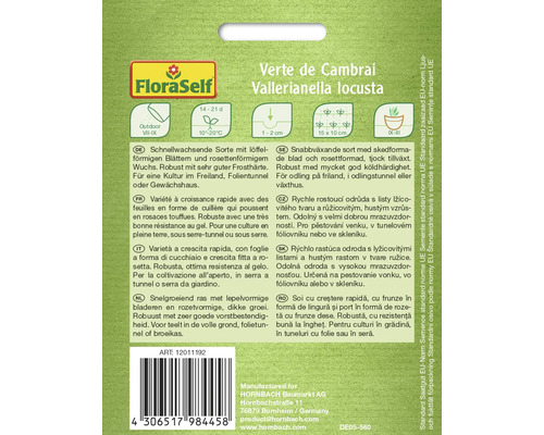 Verte de Cambrai fröer för vintersallad från FloraSelf