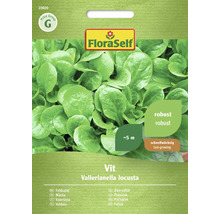 FloraSelf vintersallat Vit, Vallerianella locusta fröförpackning