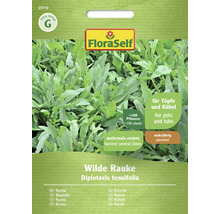 Fröpacke vild rucola från FloraSelf