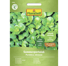 Fröförpackning sommarportlak med cirka 150 frön