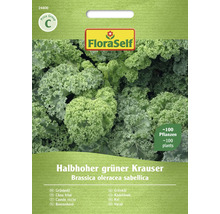 Fröpåse med halvhög grön krusig grönkål