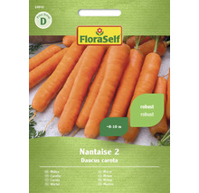 FloraSelf Morot Nantaise 2 fröpaket