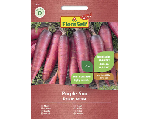 Morotsfrön FLORASELF Select Purple sun F1