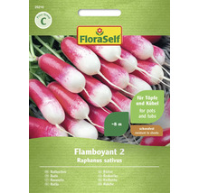 FloraSelf Rädisa Flamboyant 2 frön