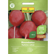 Fröpåse Riesenbutter rädisa av märket FloraSelf