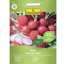 FloraSelf Sora rädisa fröförpackning