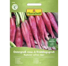 FloraSelf Rädisor Ostergruß rosa 2 / Frühlingsgruß Fröpaket