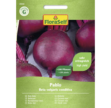 Fröförpackning rödbeta sort Pablo