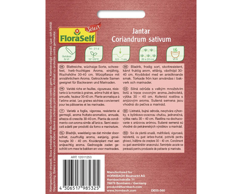 Jantar Korianderfröpaket för utomhusodling