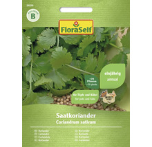 Korianderfrö Coriandrum sativum i FloraSelf fröförpackning