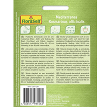Fröförpackning Mediterranea Rosmarinus officinalis