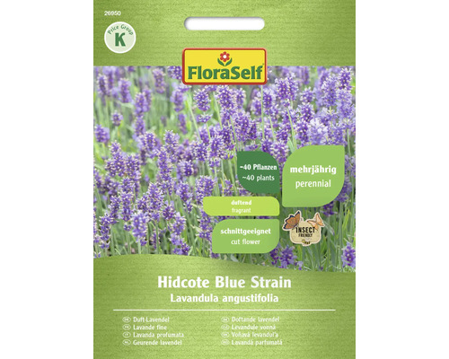 Lavendelfrön FLORASELF Hidcote Blue Strain