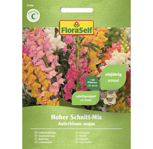 FloraSelf Hoher Schnitt-Mix Blomfrömix Lejongap