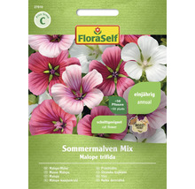 Fröpaket sommarmalva mix från Flora Self