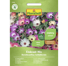 Fröpaket iskrassblandning från FloraSelf