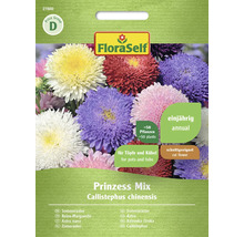 Fröpaket FloraSelf Prinzess Mix sommaraster, ettårig, för krukor och kärl, cirka 50 plantor