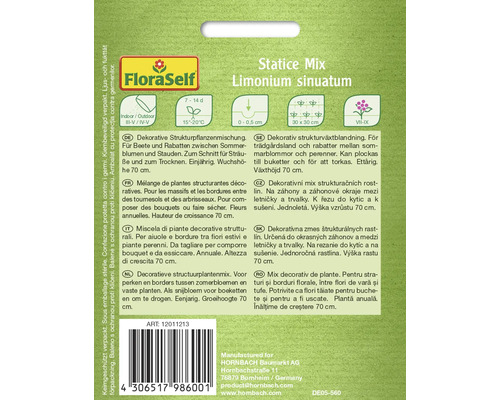 FloraSelf Statice Mix Limonium sinuatum fröförpackning för dekorativa strukturväxter
