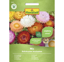 Frömix av eterneller från FloraSelf
