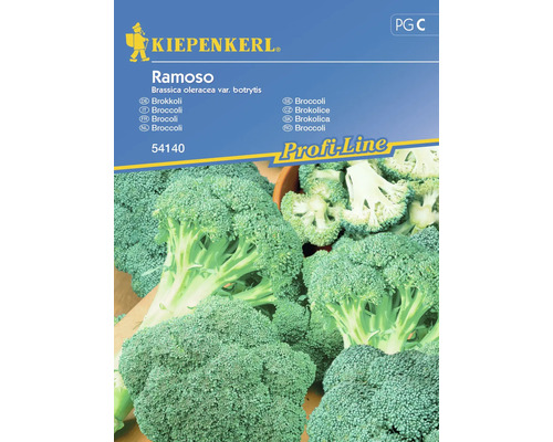 Broccolifrön KIEPENKERL Ramoso calabrese